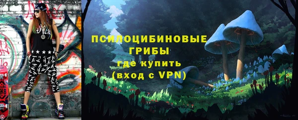 молекула духа Алзамай